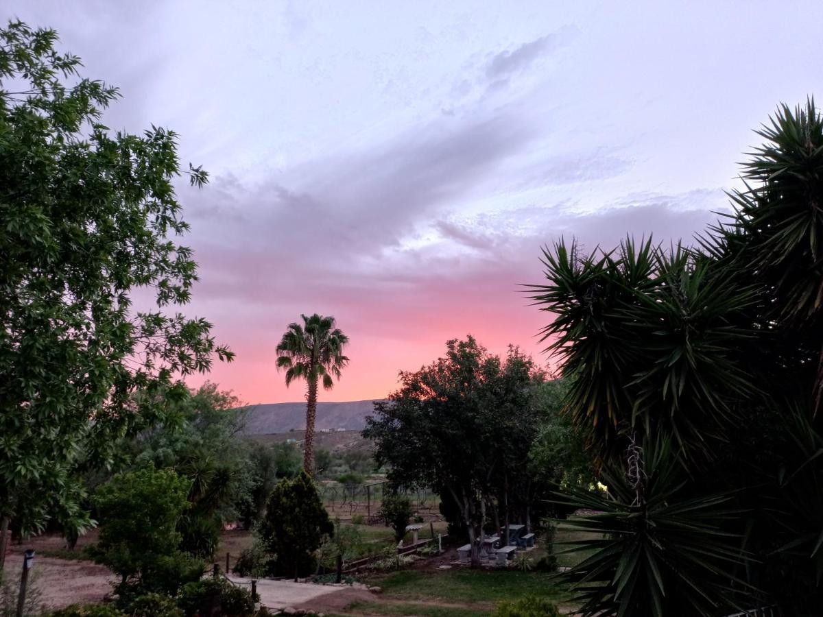 Karoo Life B&B Calitzdorp Extérieur photo