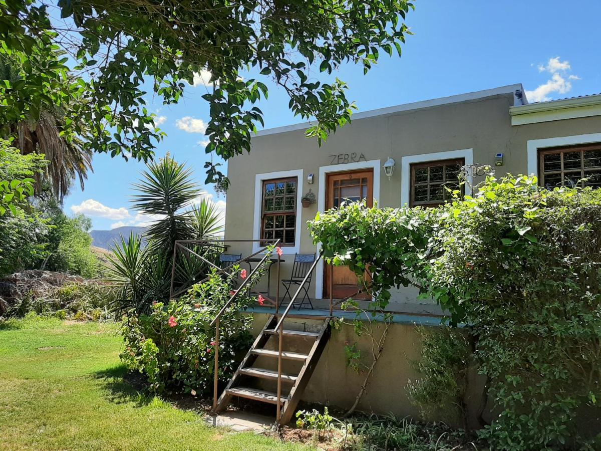 Karoo Life B&B Calitzdorp Extérieur photo
