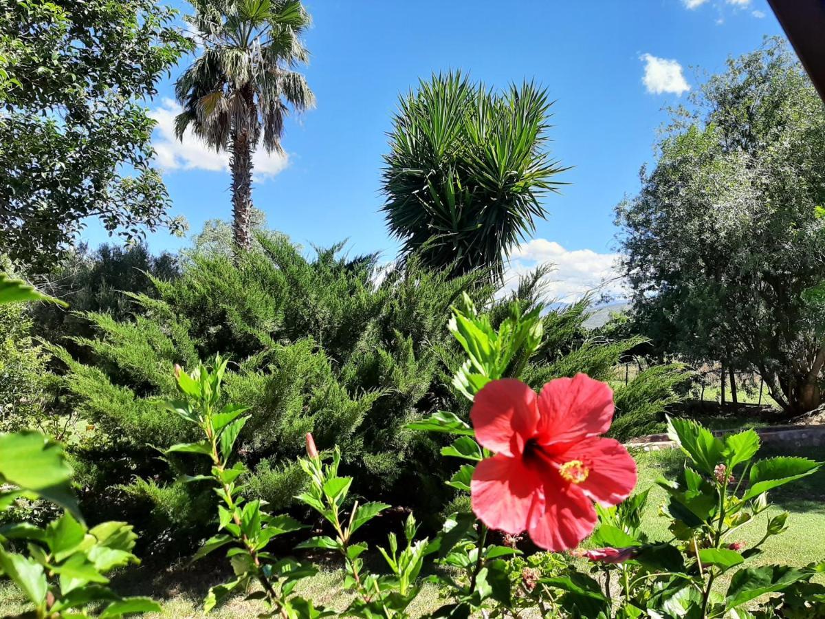 Karoo Life B&B Calitzdorp Extérieur photo